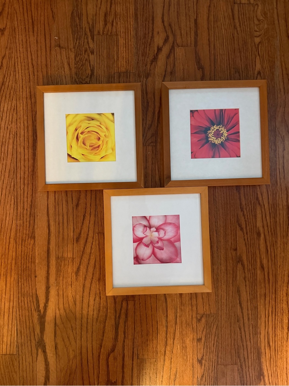 Y2K Oak frames with flower prints